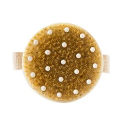 Bathorium The Bathologist Dry Brush