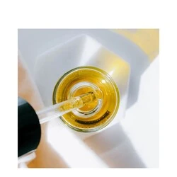 Codage Paris The Oil - Image 2